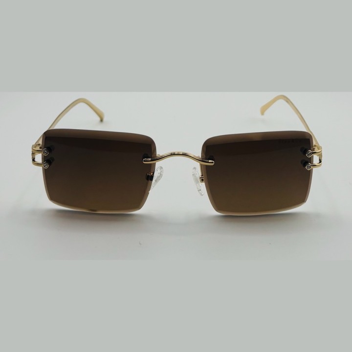 SC5003 — Or