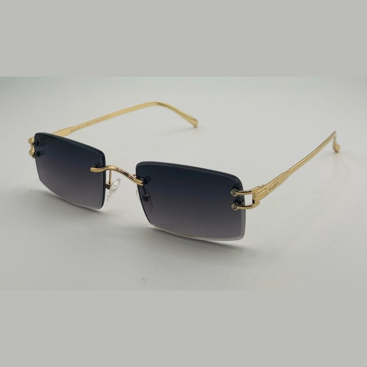 SC5002 — Or